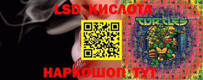 ГАЛЛЮЦИНОГЕННЫЕ ГРИБЫ Бузулук