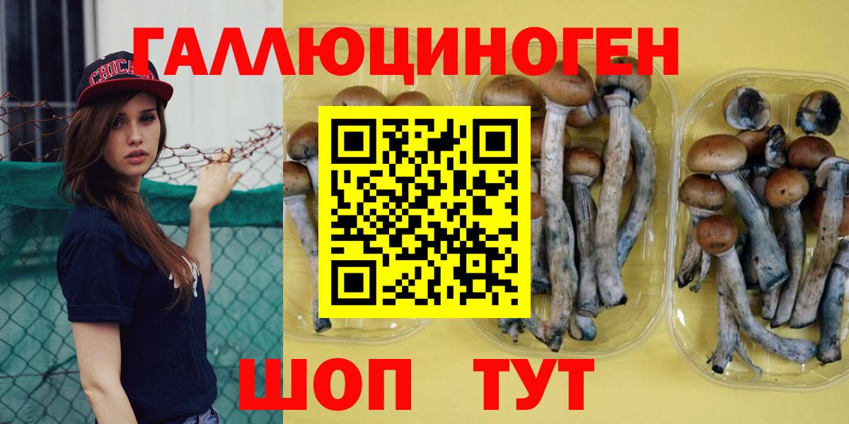 Галлюциногенные грибы мицелий Семёнов