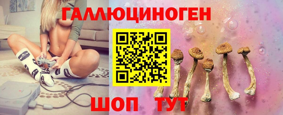 Псилоцибиновые грибы прущие грибы  Вход с VPN  Семёнов 